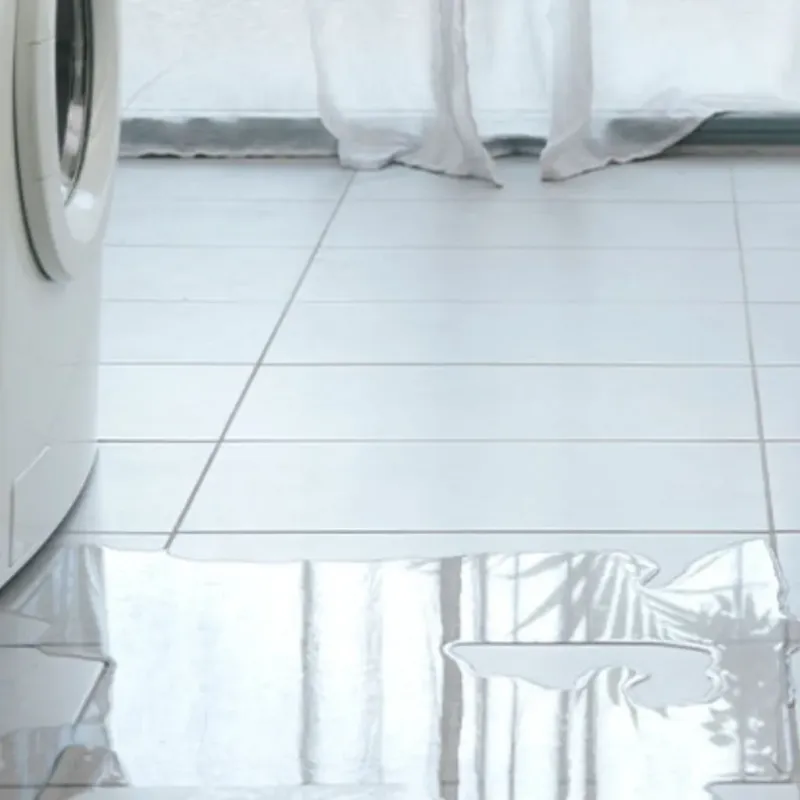 Appliance Leak Cleanup in Oakland, FL