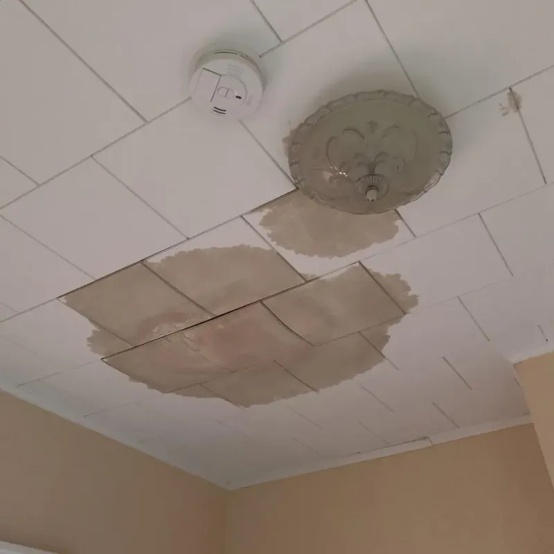 Ceiling Water Damage Repair in Oakland, FL